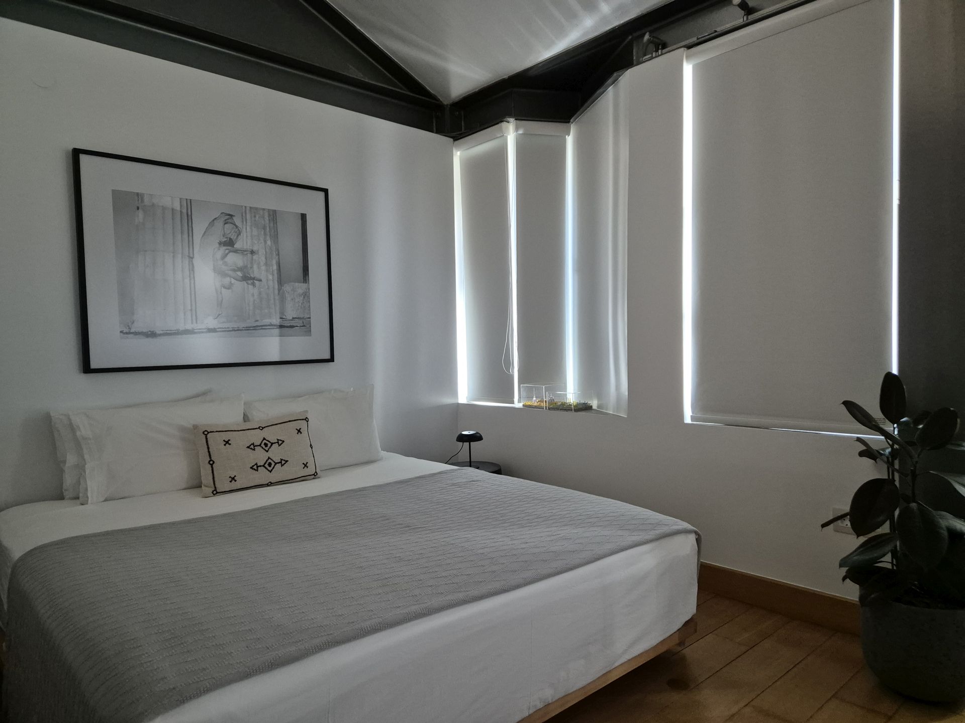 The Original Blossom